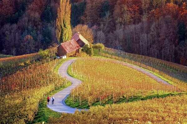 Heart-shaped road in Maribor