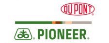 du pont-pioneer logo